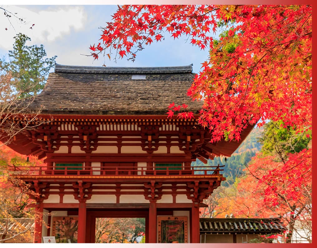 Autumn leaves at Daihonzan Murou-ji Temple